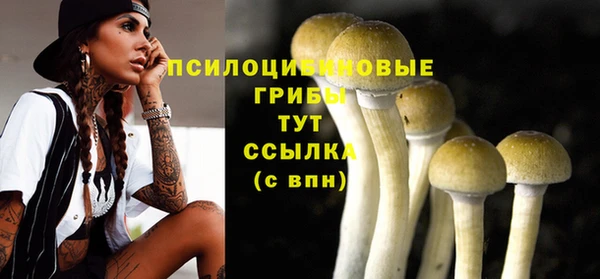 PSILOCYBIN Алексеевка