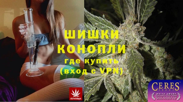 PSILOCYBIN Алексеевка