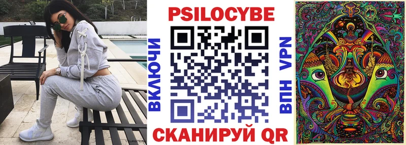 Псилоцибиновые грибы Cubensis  дарк нет телеграм  Новоульяновск  цена  